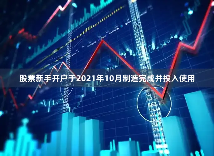 股票新手开户于2021年10月制造完成并投入使用