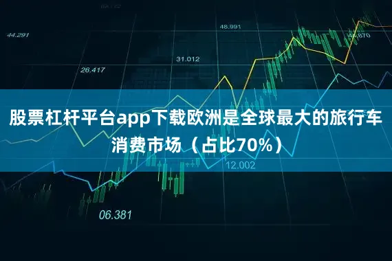 股票杠杆平台app下载欧洲是全球最大的旅行车消费市场（占比70%）