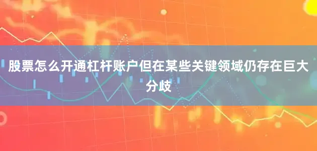 股票怎么开通杠杆账户但在某些关键领域仍存在巨大分歧