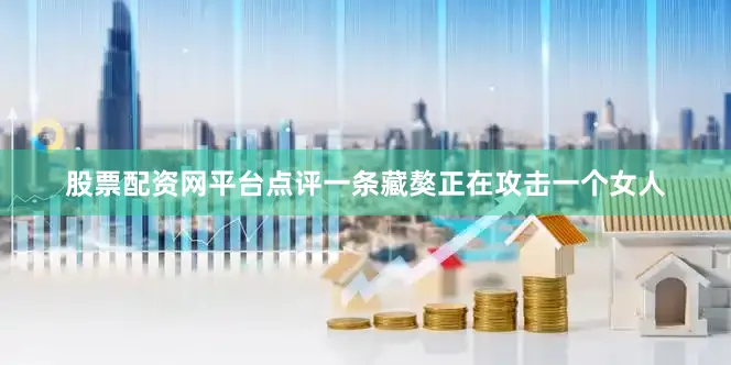 股票配资网平台点评一条藏獒正在攻击一个女人
