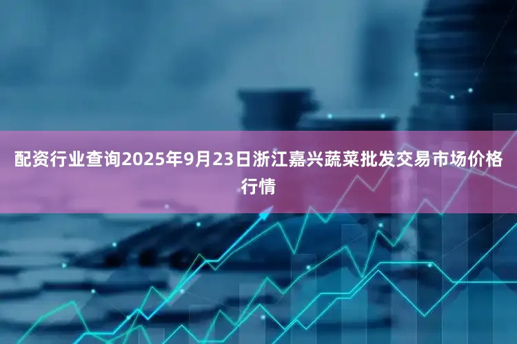 配资行业查询2025年9月23日浙江嘉兴蔬菜批发交易市场价格行情